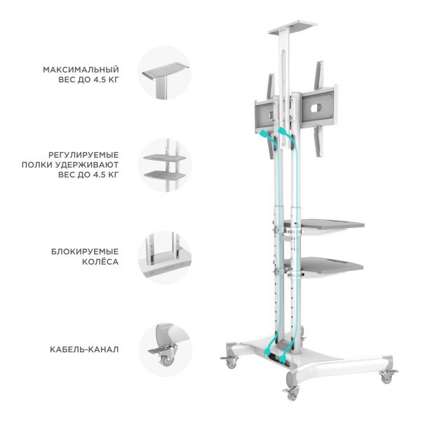 Мобильная стойка для телевизора ONKRON TS1552 White